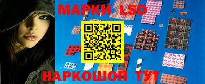 стафф Ачхой-Мартан